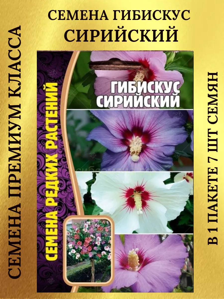 Семена гибискуса СИРИЙСКИЙ - 1 пакет Редкие 189642751 купить за 139 ₽ в  интернет-магазине Wildberries