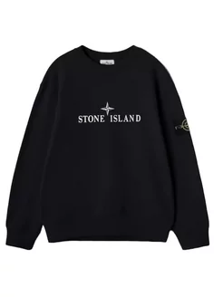 Кофта Свитшот Stone Island STONE ISLAND 189695711 купить за 1 202 ₽ в интернет-магазине Wildberries