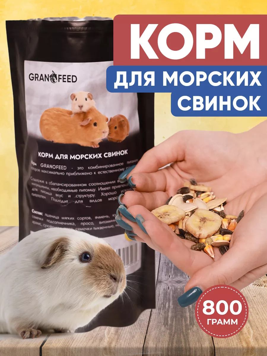 Корм для морских свинок...