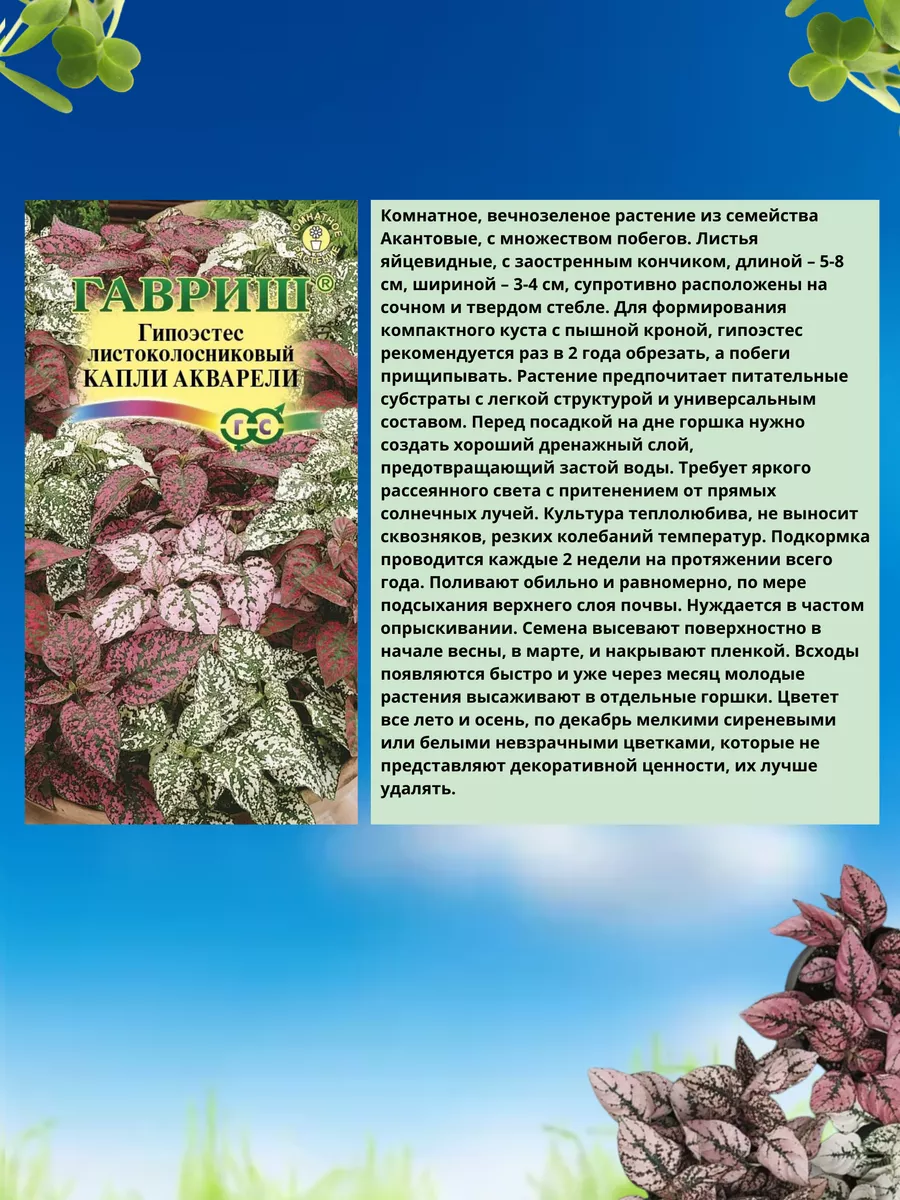 Семена цветов Гипоэстес 1 Гавриш 189709056 купить за 132 ₽ в  интернет-магазине Wildberries