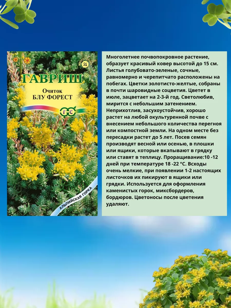 Семена Седум (Очиток) «Желтые Огоньки» 1 Гавриш 189735673 купить за 131 ₽ в  интернет-магазине Wildberries