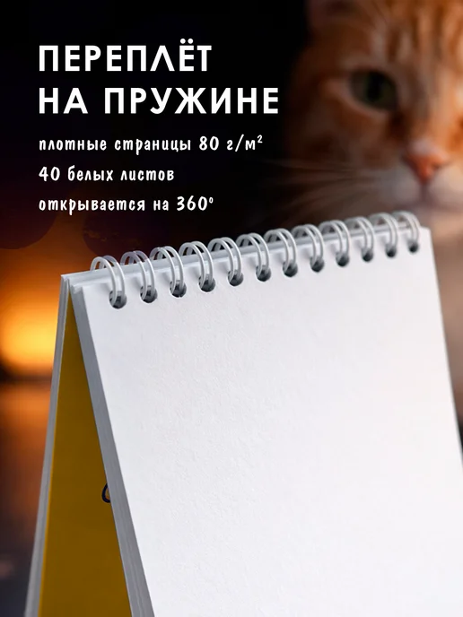Заверните! Набор блокнотов Котики А6, синий, фото 5