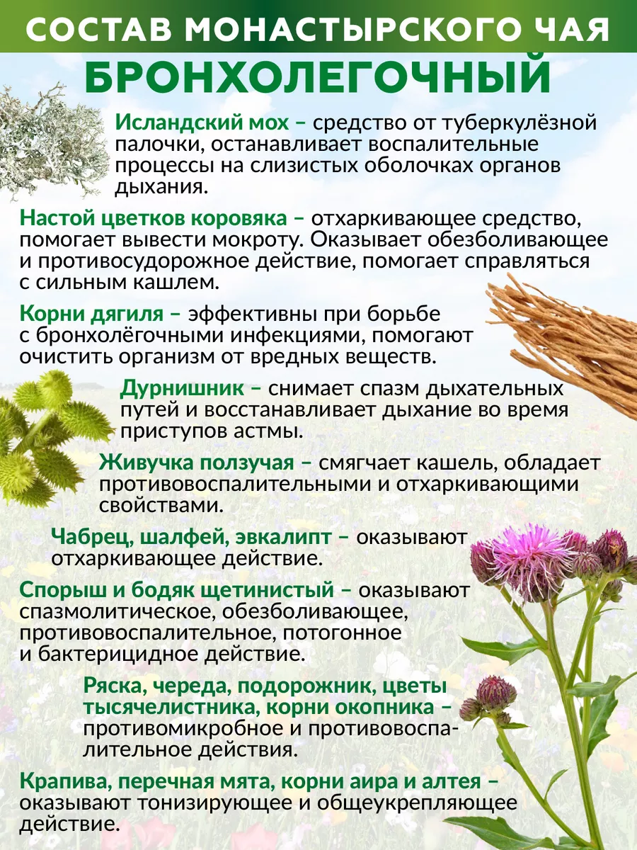 Купить фиточай для похудения