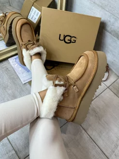 Угги-кеды зимние UGG Premium Shoes 189760019 купить за 5 510 ₽ в интернет-магазине Wildberries