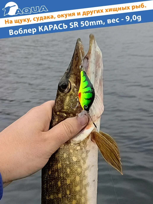 Aqua Воблер рыболовный плавающий Карась sr 50mm 9g цвет 014, 9 г, фото 4