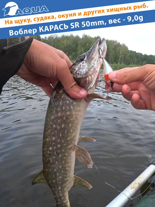 Aqua Воблер рыболовный плавающий Карась sr 50mm 9g цвет 014, 9 г, фото 5