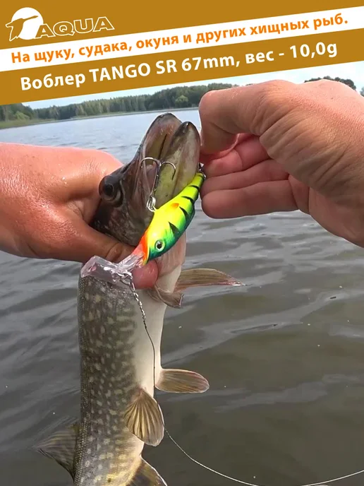 Aqua Воблер рыболовный плавающий Tango sr 67mm 10g цвет 007, 10 г, фото 3