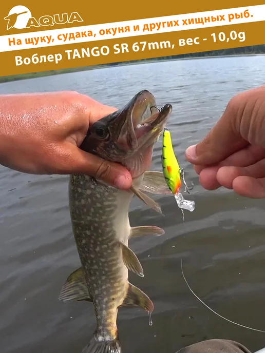 Aqua Воблер рыболовный плавающий Tango sr 67mm 10g цвет 018, 10 г, фото 6