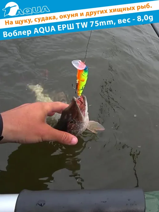 Aqua Воблер рыболовный плавающий Ерш Tw 75mm 8g цвет 007, 8 г, фото 5