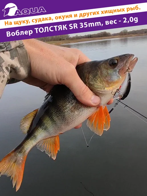 Aqua Воблер рыболовный плавающий Толстяк sr 35mm 2g цвет 144, 2 г, фото 4
