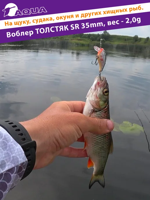 Aqua Воблер рыболовный плавающий Толстяк sr 35mm 2g цвет 144, 2 г, фото 6