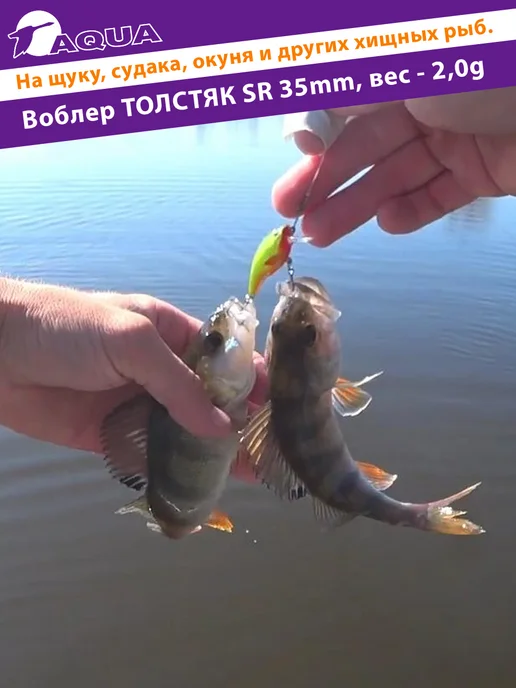 Aqua Воблер рыболовный плавающий Толстяк sr 35mm 2g цвет 144, 2 г, фото 8