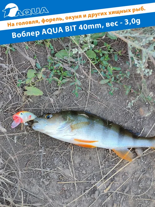 Aqua Воблер рыболовный плавающий Bit 40mm 3g цвет 029, 3 г, фото 4