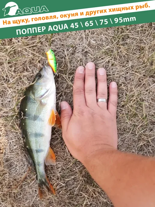 Aqua Воблер рыболовный поверхностный Поппер 45mm 3.5g цвет 014, 3,5 г, фото 8