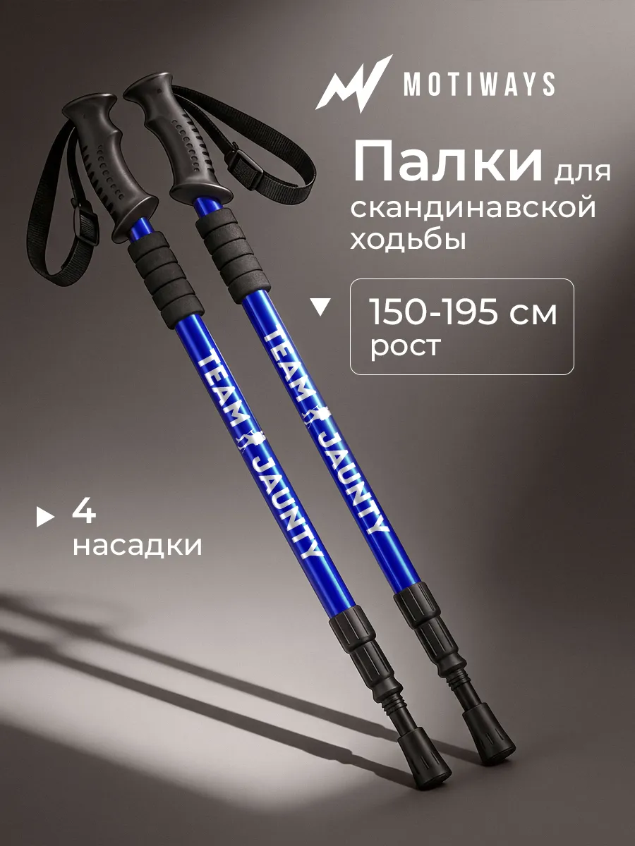 Палки для скандинавской ходьбы телескопические 65-135
