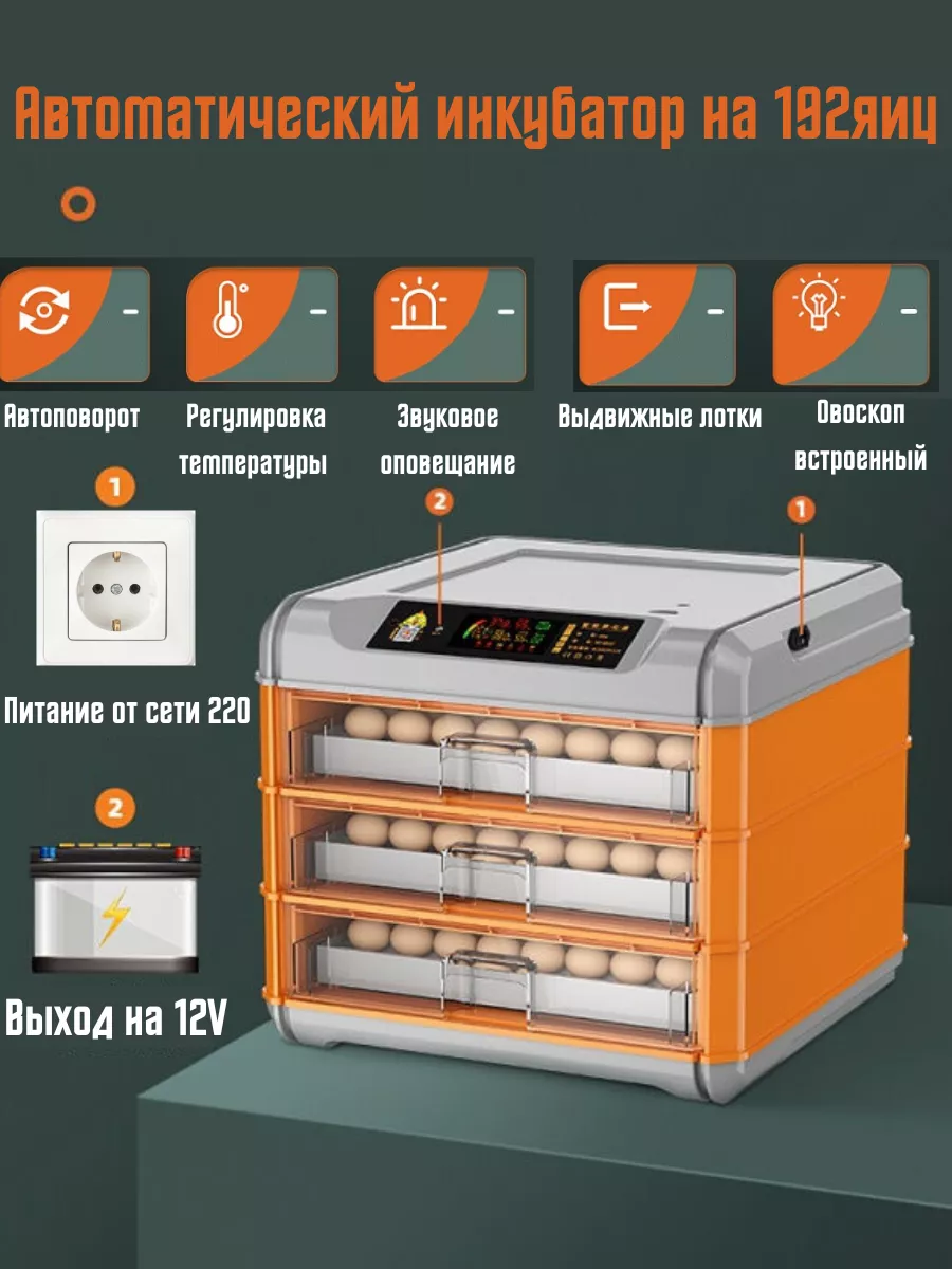 Инкубатор, самостоятельное выведение домашней птицы