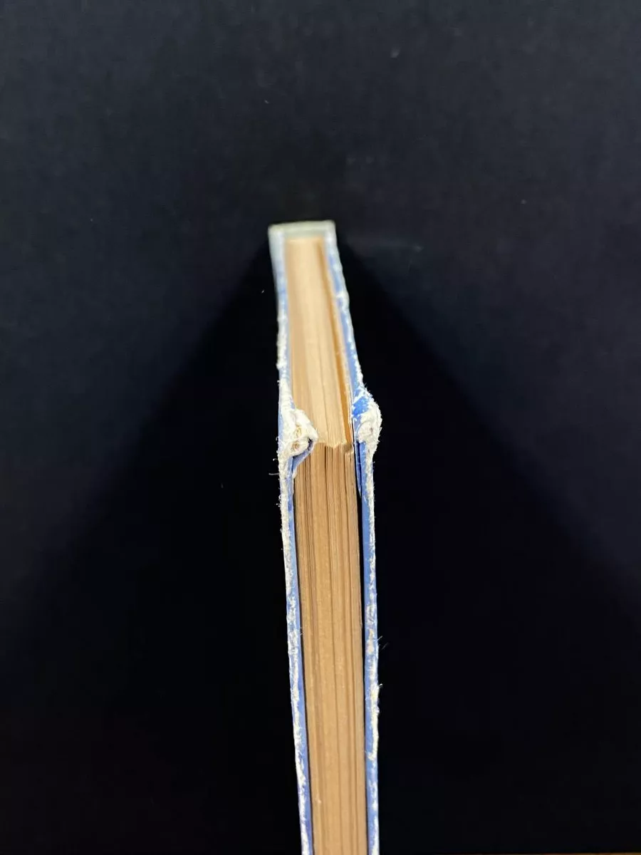 Фото 4