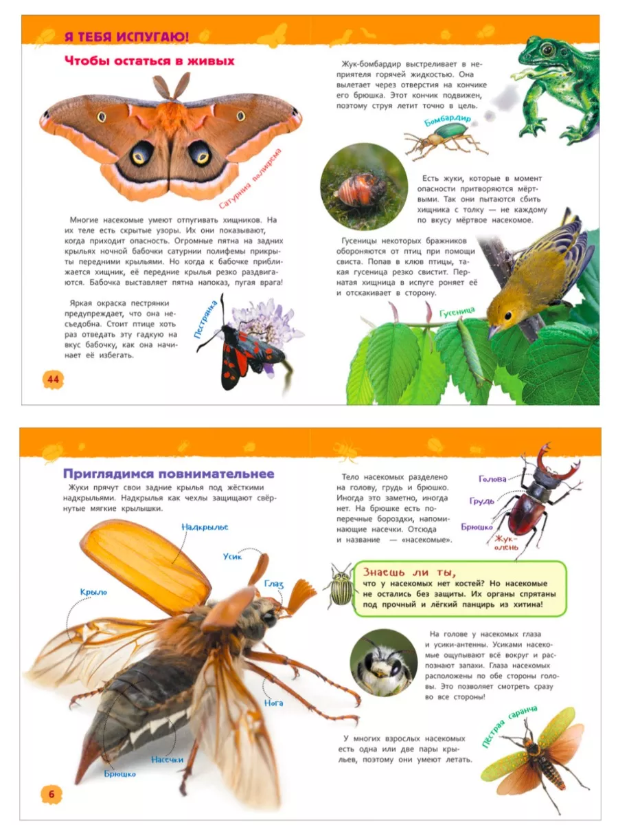 Насекомые + Транспорт Издательство Росмэн 189928782 купить за 647 ₽ в  интернет-магазине Wildberries