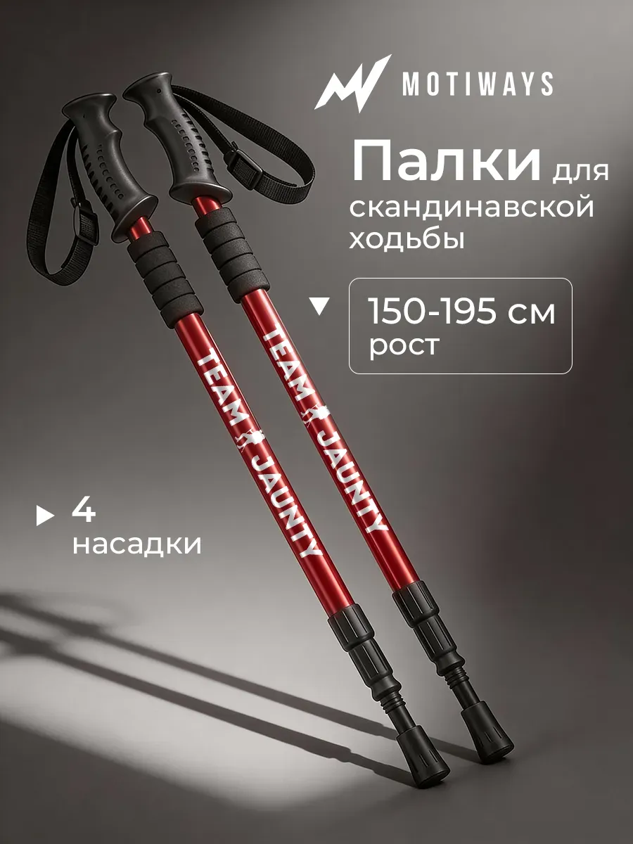Палки для скандинавской ходьбы телескопические 65-135