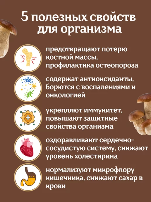 Тайга22 Грибы сушеные молотые для супа и соуса 150 грамм, вариант, фото 2