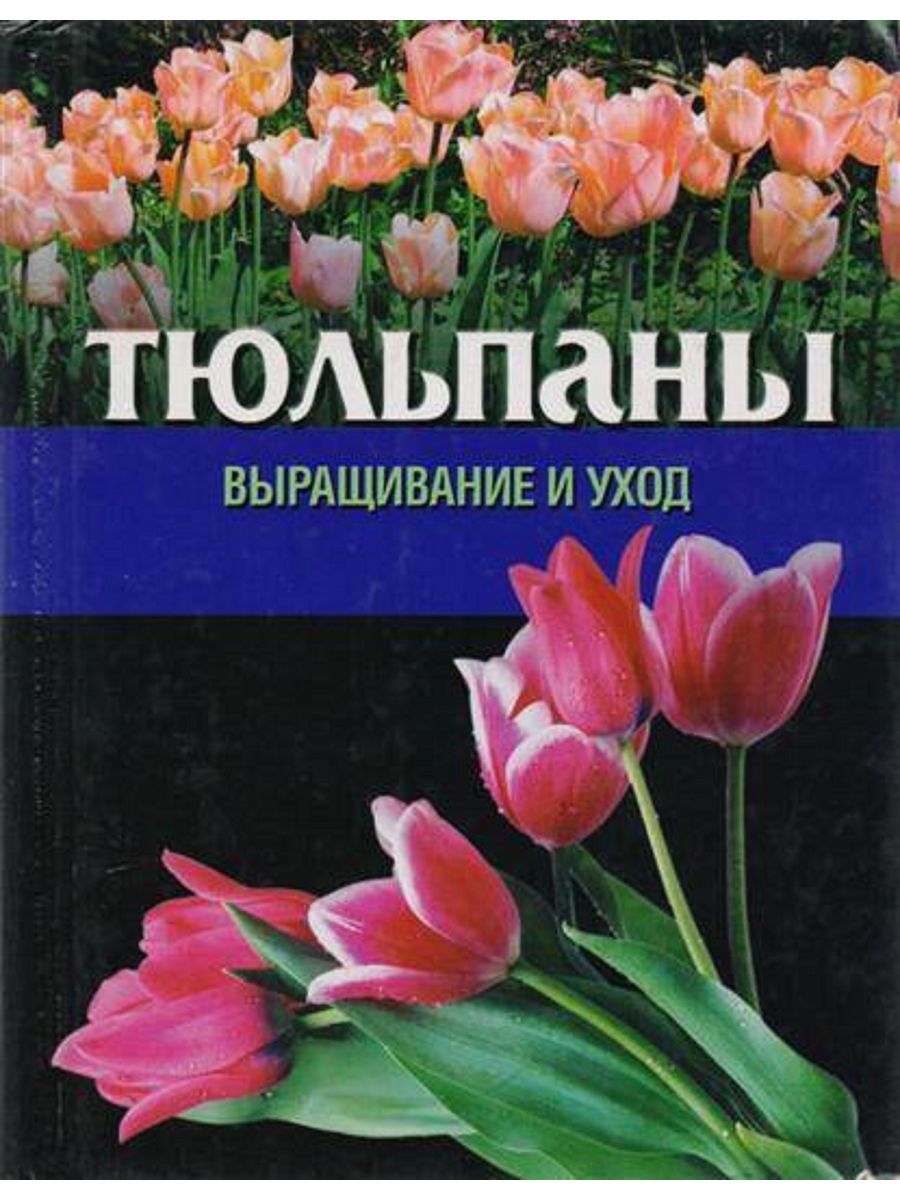 Книги тюльпаны. Тюльпаны и книги. Тюльпан литература. Книги про тюльпаны для детей. Книги издательства АСТ тюльпан.