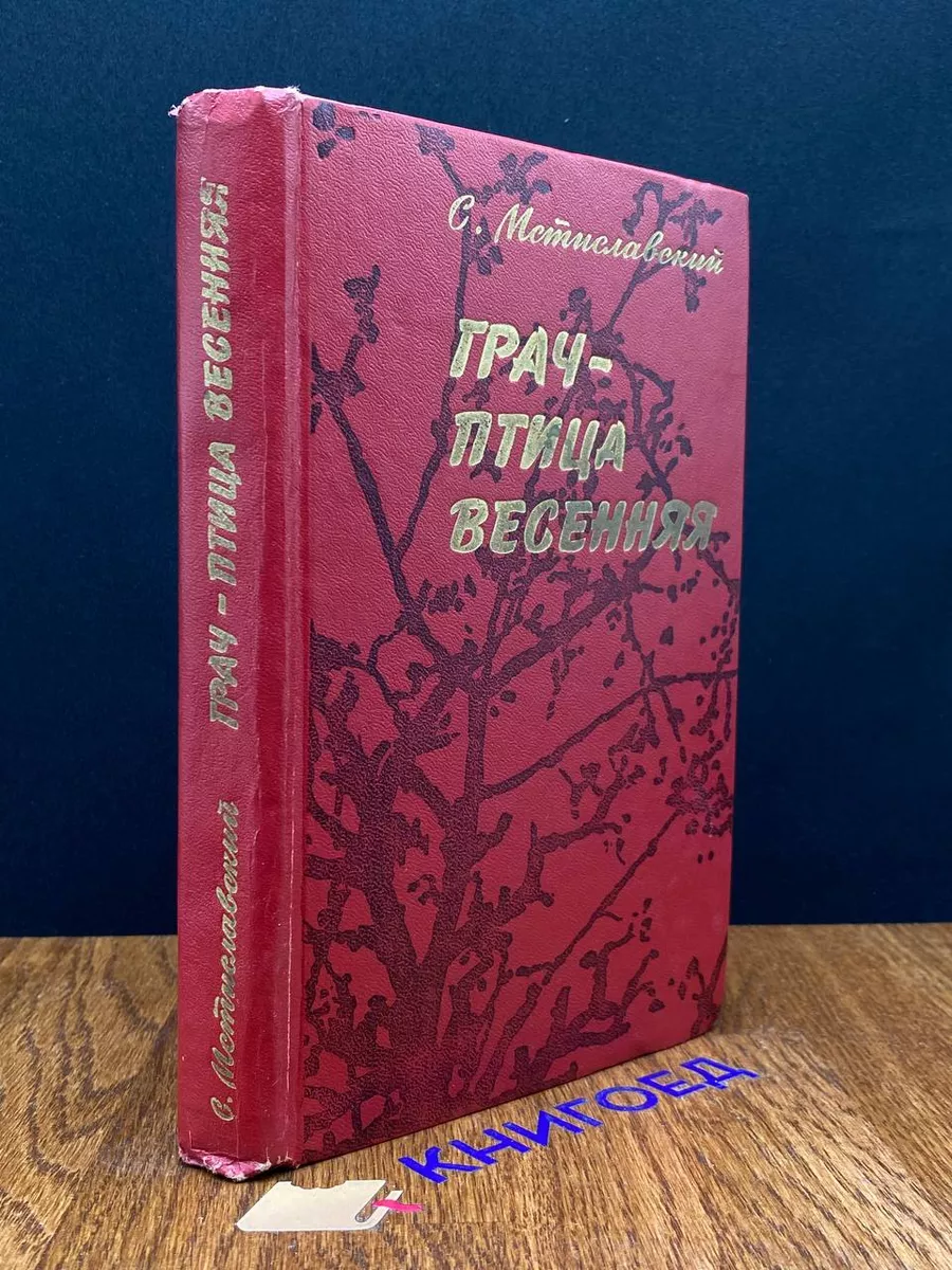 Грач - птица весенняя