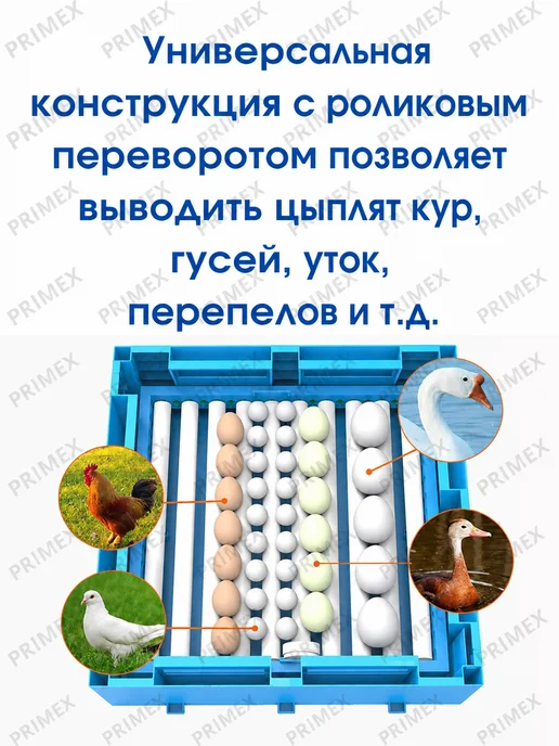 Умница Инкубатор для яиц автоматический, вариант, фото 5