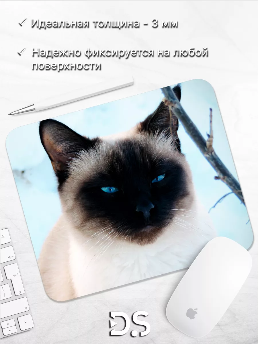 Коврик для мыши сиамская кошка котенок коты картинка DiamondMousePad  190067287 купить за 300 ₽ в интернет-магазине Wildberries