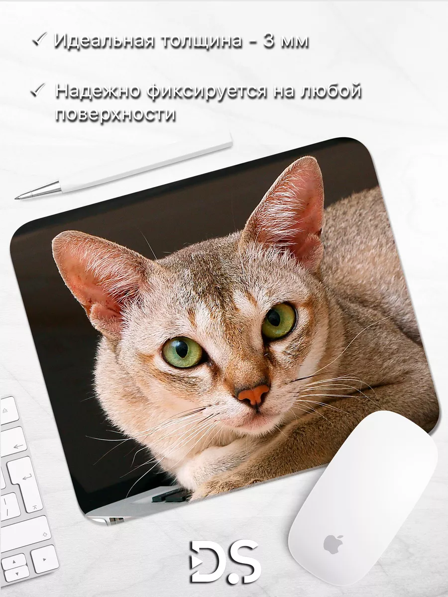 Мышки для кошек купить в Санкт-Петербурге