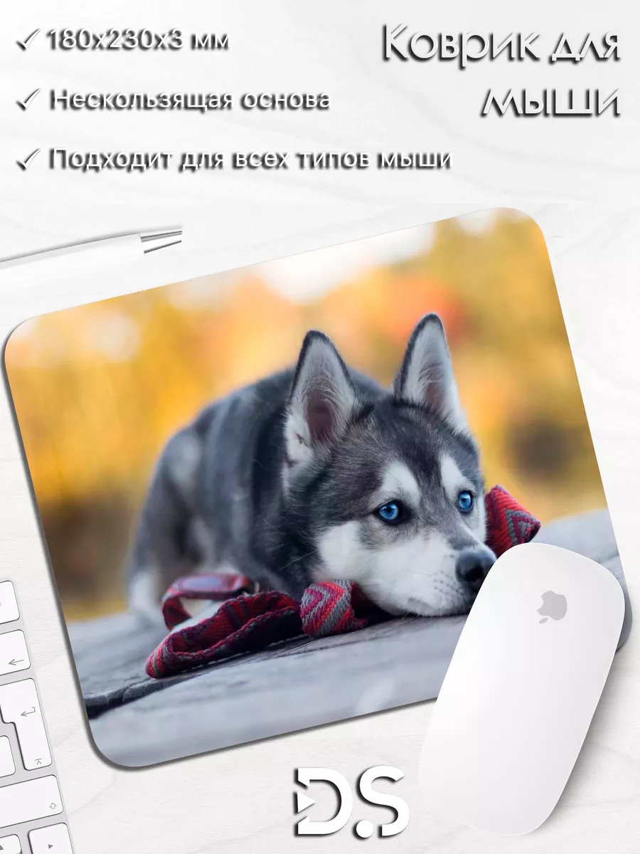 Сибирским Мышь 