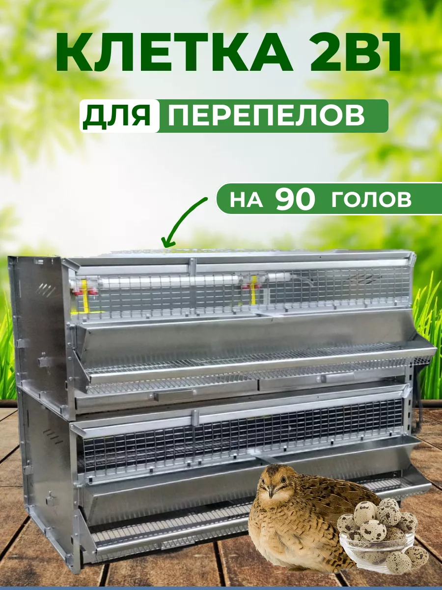 Клетки для перепелов