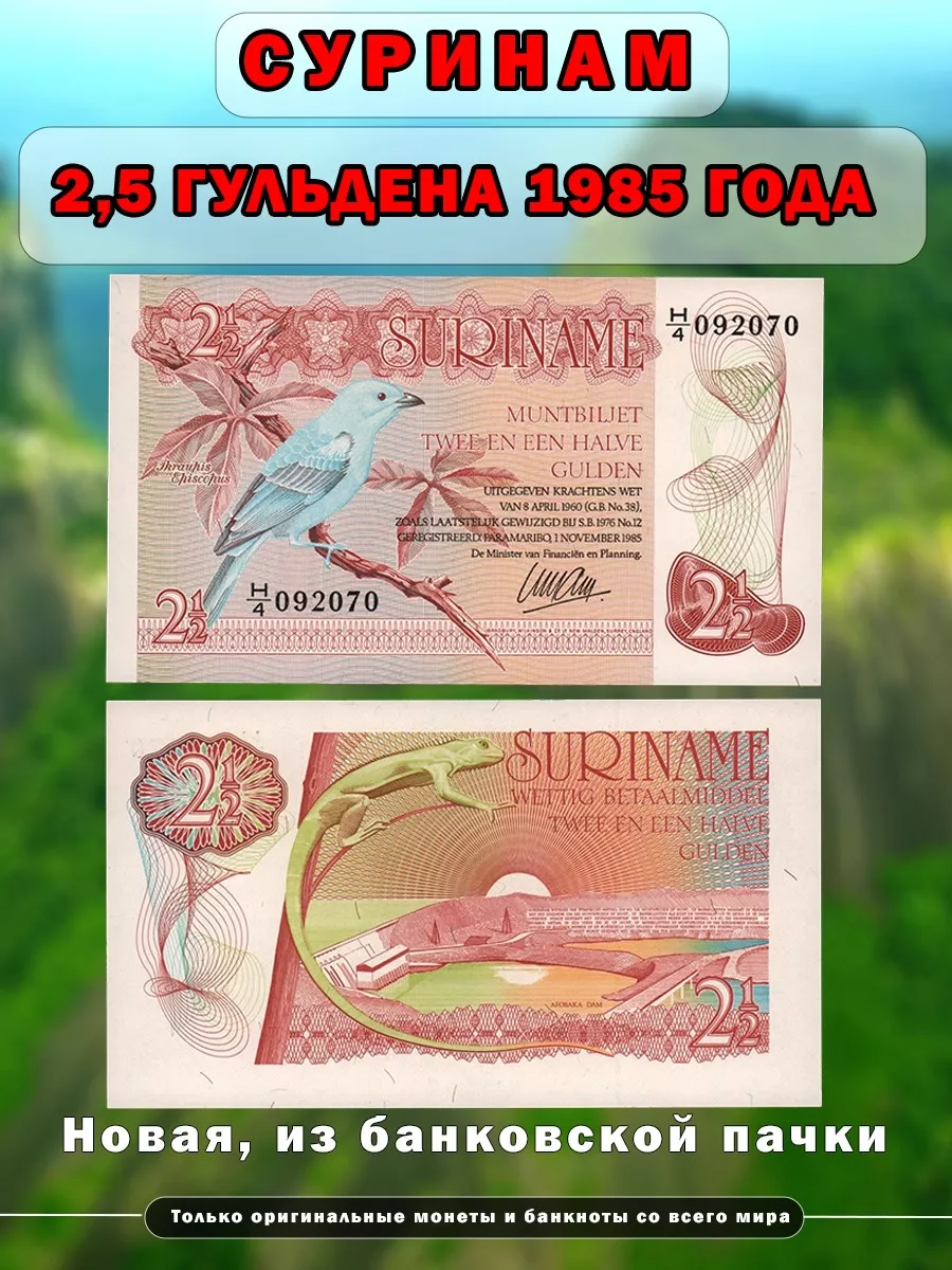 Банкнота Суринам 2,5 гульдена, 1985 Дом монет 190413810 купить в  интернет-магазине Wildberries