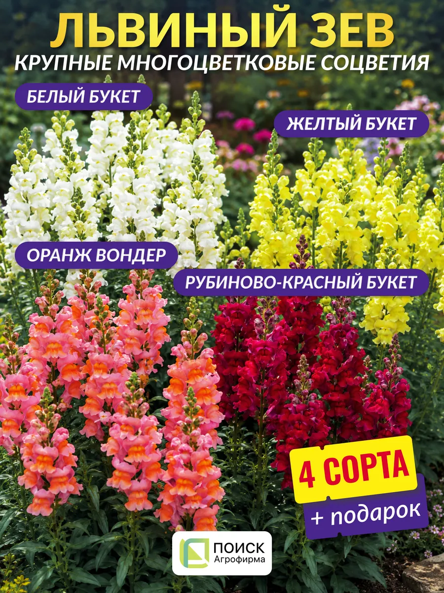 Семена антирринум высокорослый Букет