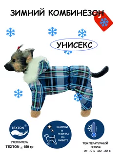 Зимний комбинезон для собак для мелких пород DOGMODA 190454872 купить за 1 558 ₽ в интернет-магазине Wildberries