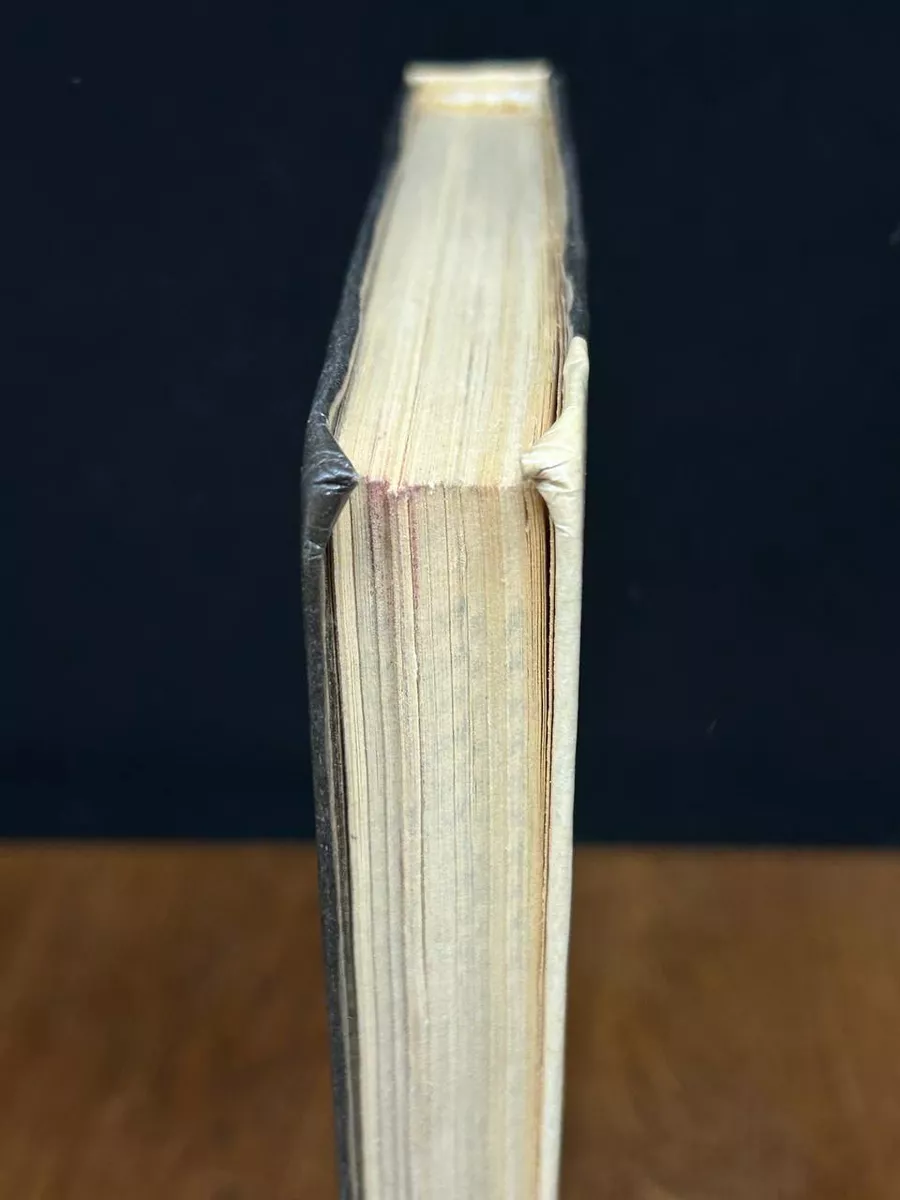 Фото 4
