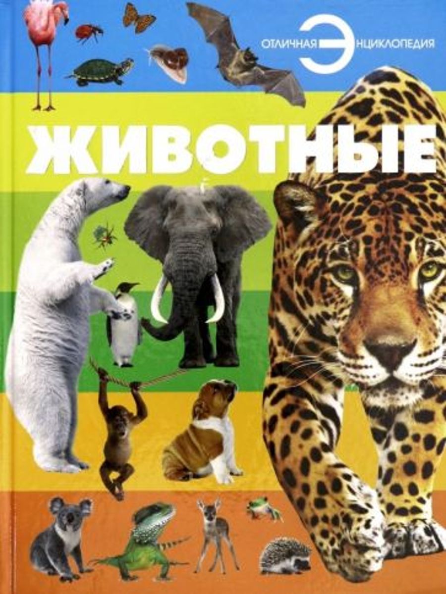 Планета животных книги. Животные обложка. Обложка книги с животными. В мире животных обложка. Млекопитающие животные обложка доклада.