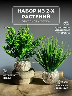 Искусственные растения интерьерный декор эвкалипт+осока GLAZUNOVA HOME 190604180 купить за 658 ₽ в интернет-магазине Wildberries