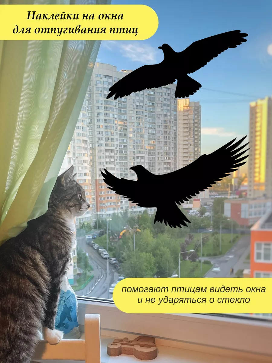 Отпугивание птиц