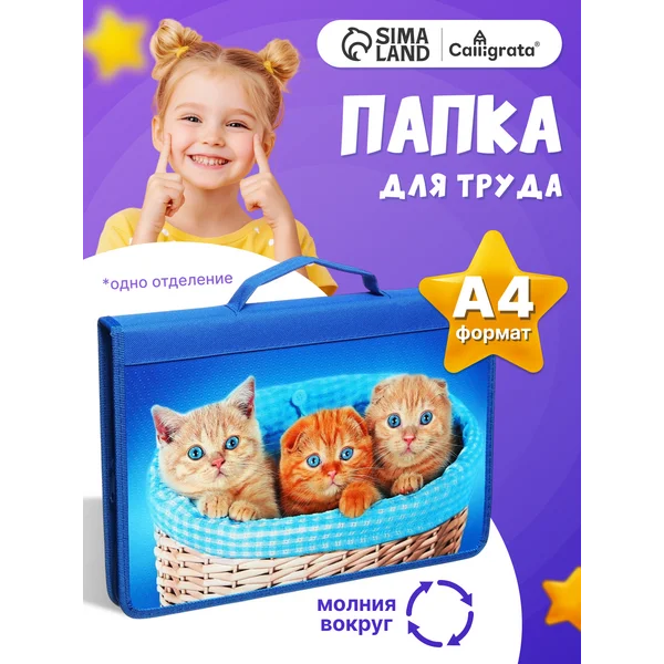 Папка для труда А4, с ручками, молния вокруг