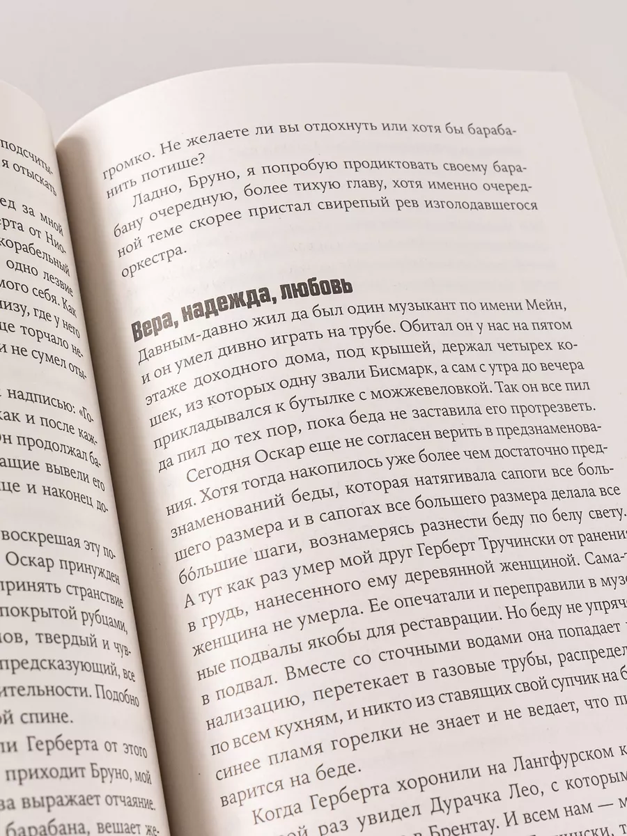 Жестяной барабан Альпина. Книги 190652968 купить за 635 ₽ в  интернет-магазине Wildberries