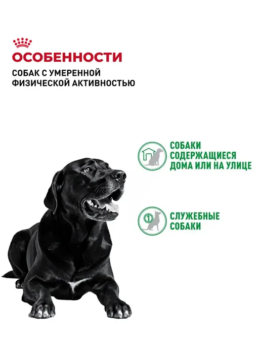 Сухой корм Royal canin Club Pro для собак, взрослые, 20 кг, фото 2
