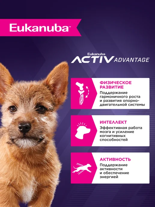 Сухой корм Eukanuba для собак, мелкие, щенки, курица, 0,8 кг, фото 2