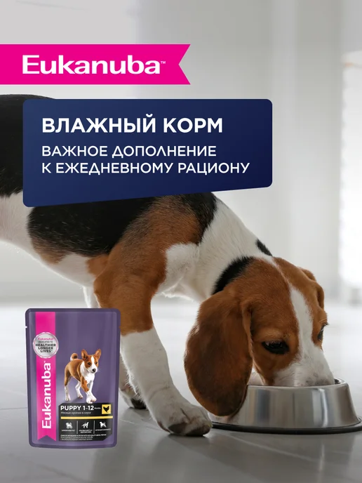 Сухой корм Eukanuba для собак, мелкие, щенки, курица, 0,8 кг, фото 7