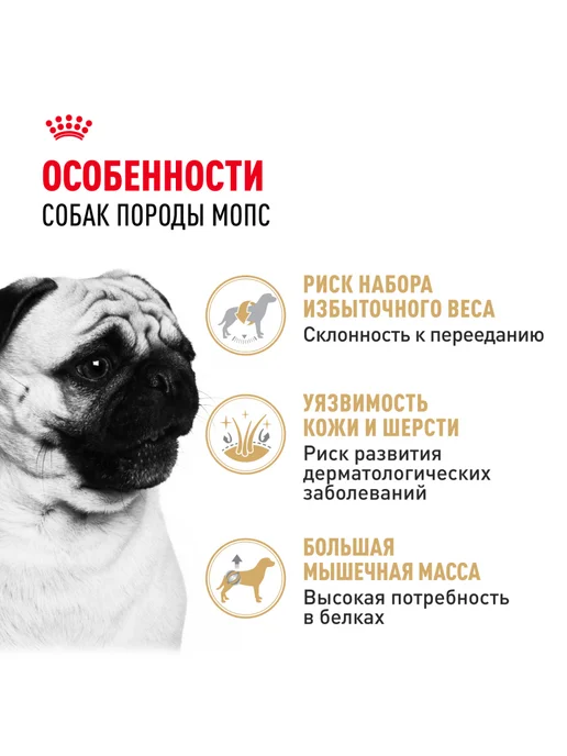 Сухой корм Royal canin Pug Мопс для собак, взрослые, 0,5 кг, фото 2