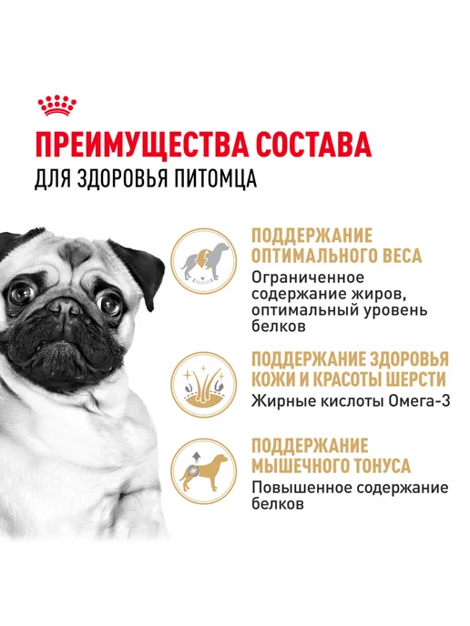 Сухой корм Royal canin Pug Мопс для собак, взрослые, 0,5 кг, фото 3