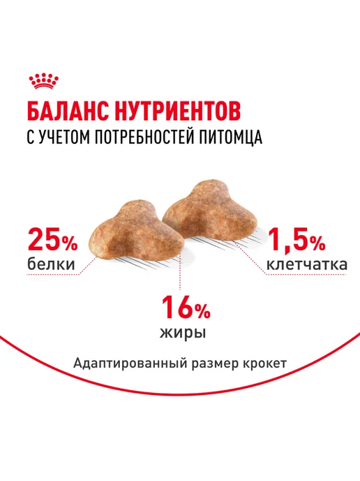 Сухой корм Royal canin Pug Мопс для собак, взрослые, 0,5 кг, фото 4