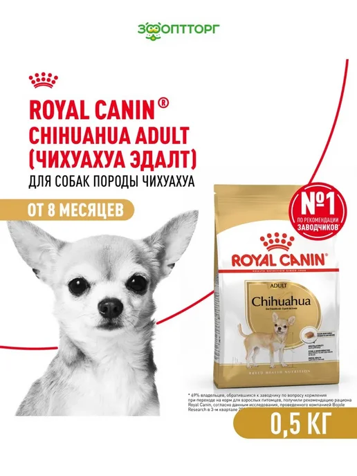 Сухой корм Royal canin Чихуахуа для собак, курица, 0,5 кг