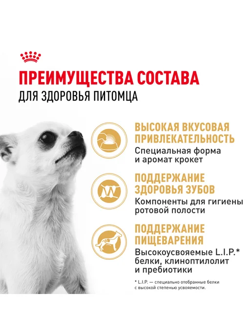 Сухой корм Royal canin Чихуахуа для собак, курица, 0,5 кг, фото 2