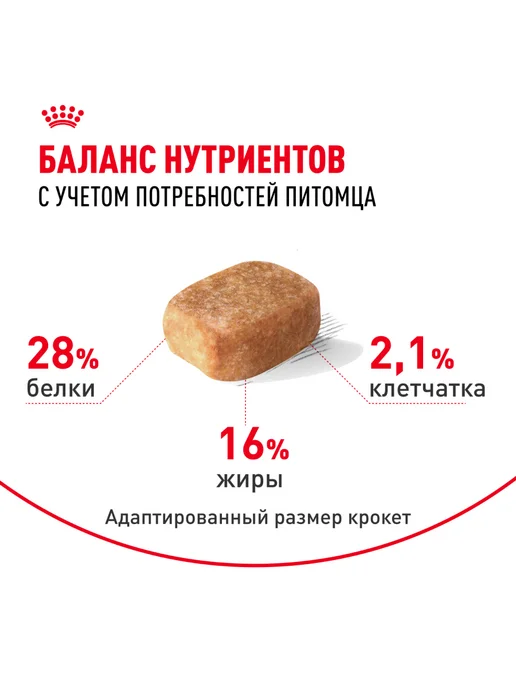Сухой корм Royal canin Чихуахуа для собак, курица, 0,5 кг, фото 3