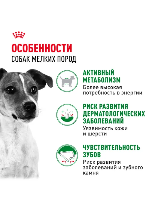 Сухой корм Royal canin для собак, взрослые, мелкие, курица, 0,8 кг, фото 2